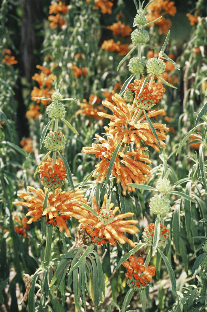 Selected works by Dani Pujalte, documentary, photography, people, colors