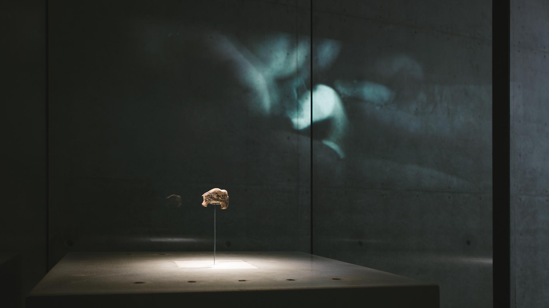 Information Center Archäopark Vogelherd by Ritter Jockisch Architects — A display case within the Information Center presents a small terracotta figurine on a thin metal pedestal, spotlit against a dark wall.