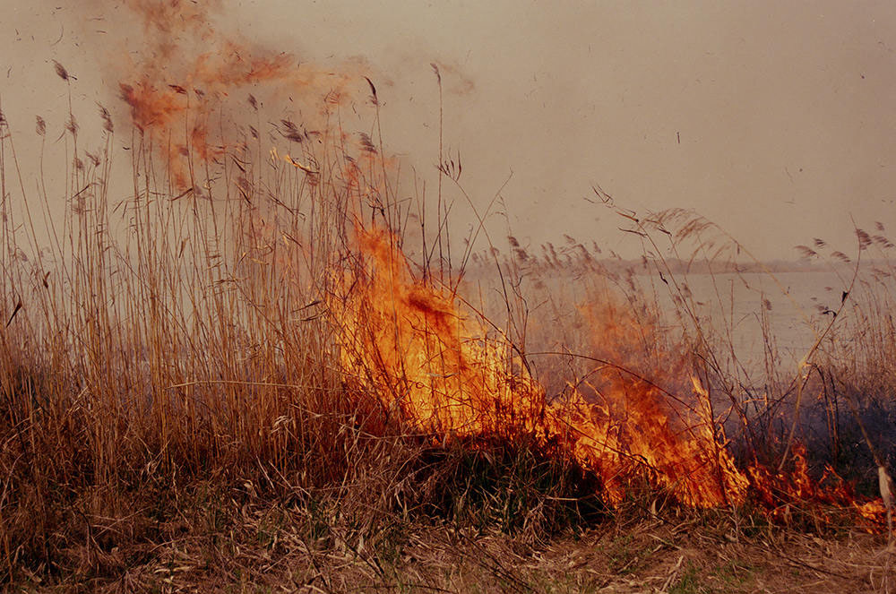 Selected works by Li Hui, photography, people, analog, landscape