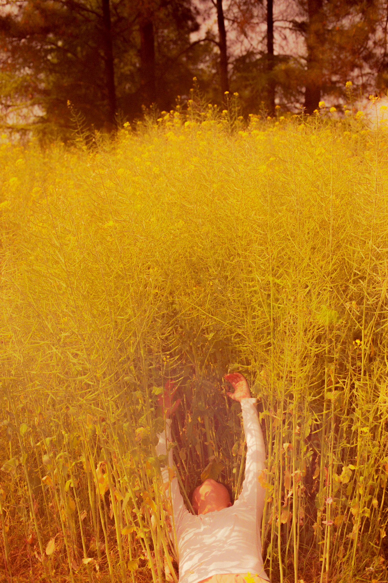 Selected works by Li Hui, photography, people, analog, landscape