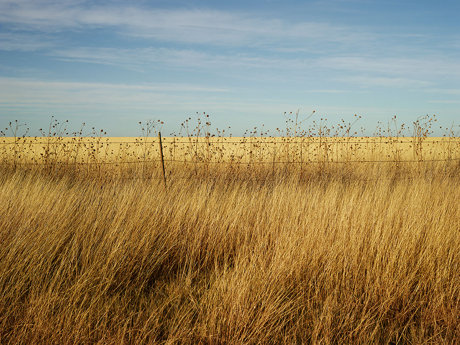 Roadside America by Josef Hoflehner, landscape, photography, analog
