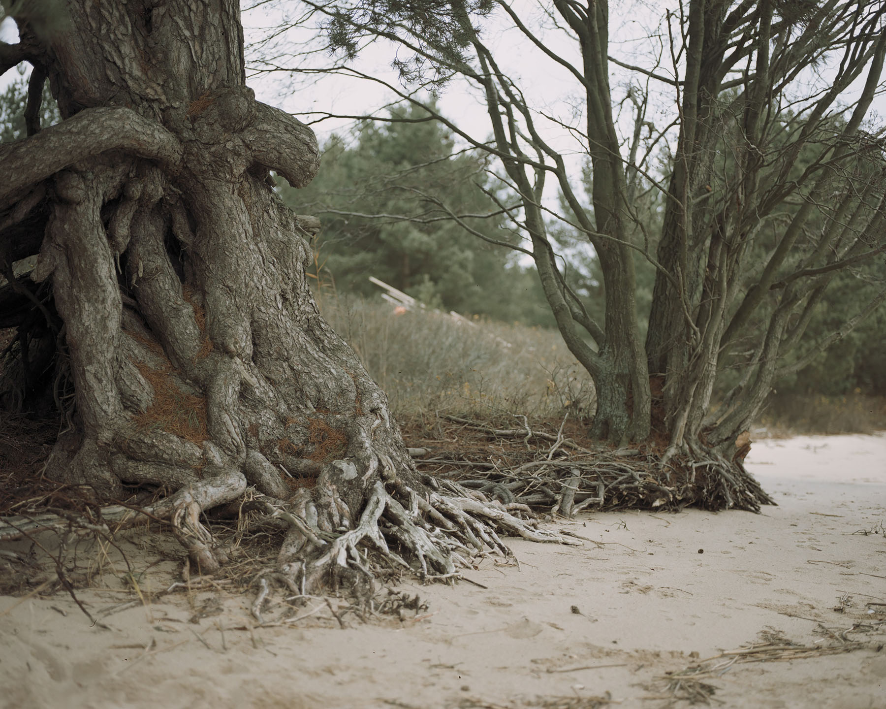 Between Two Shores by Tadas Kazakevicius, landscape, photography, people, nature, russia