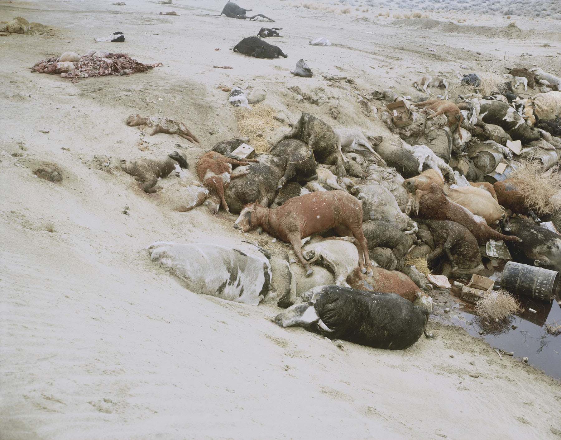 Selected works by Richard Misrach, photography, landscape, nature, climatechange, documentary