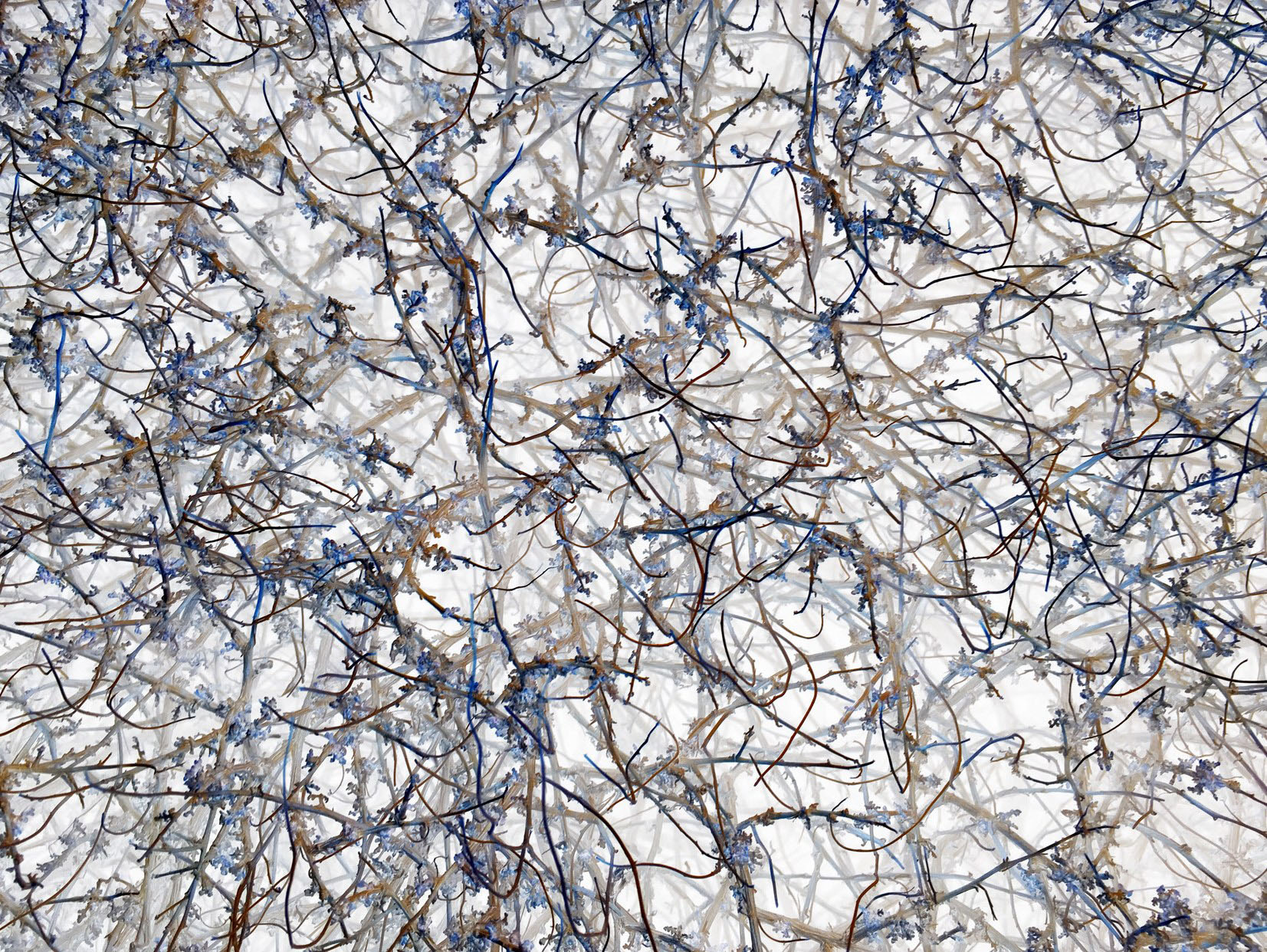 Selected works by Richard Misrach, photography, landscape, nature, climatechange, documentary