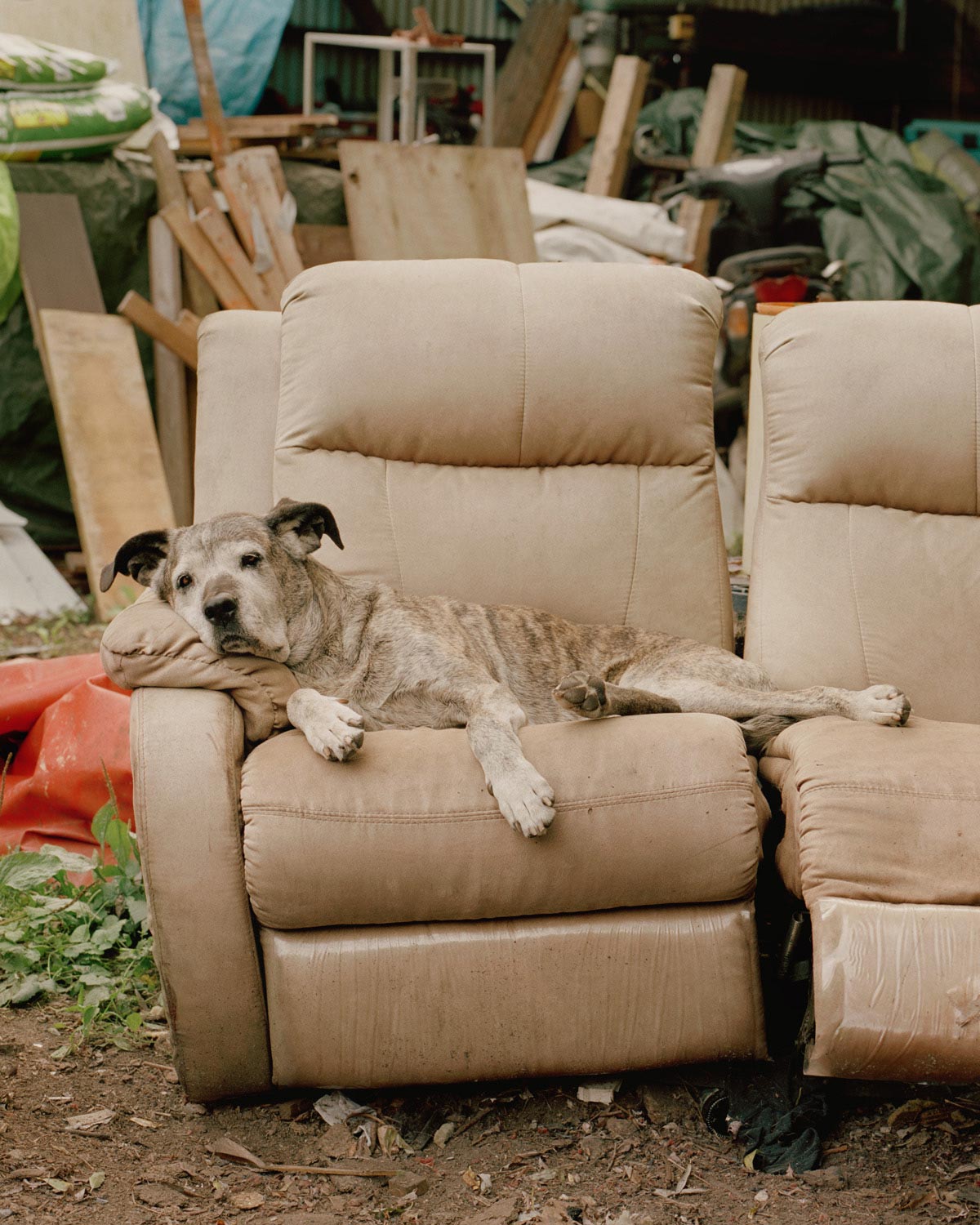 Amsterdam’s Docklands by Sem Langendijk, photography, documentary, people, nature