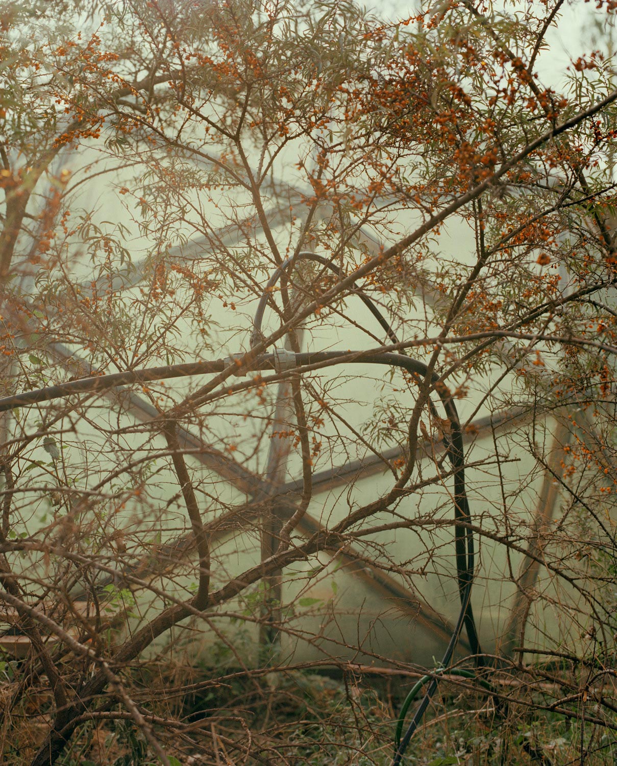 Amsterdam’s Docklands by Sem Langendijk, photography, documentary, people, nature