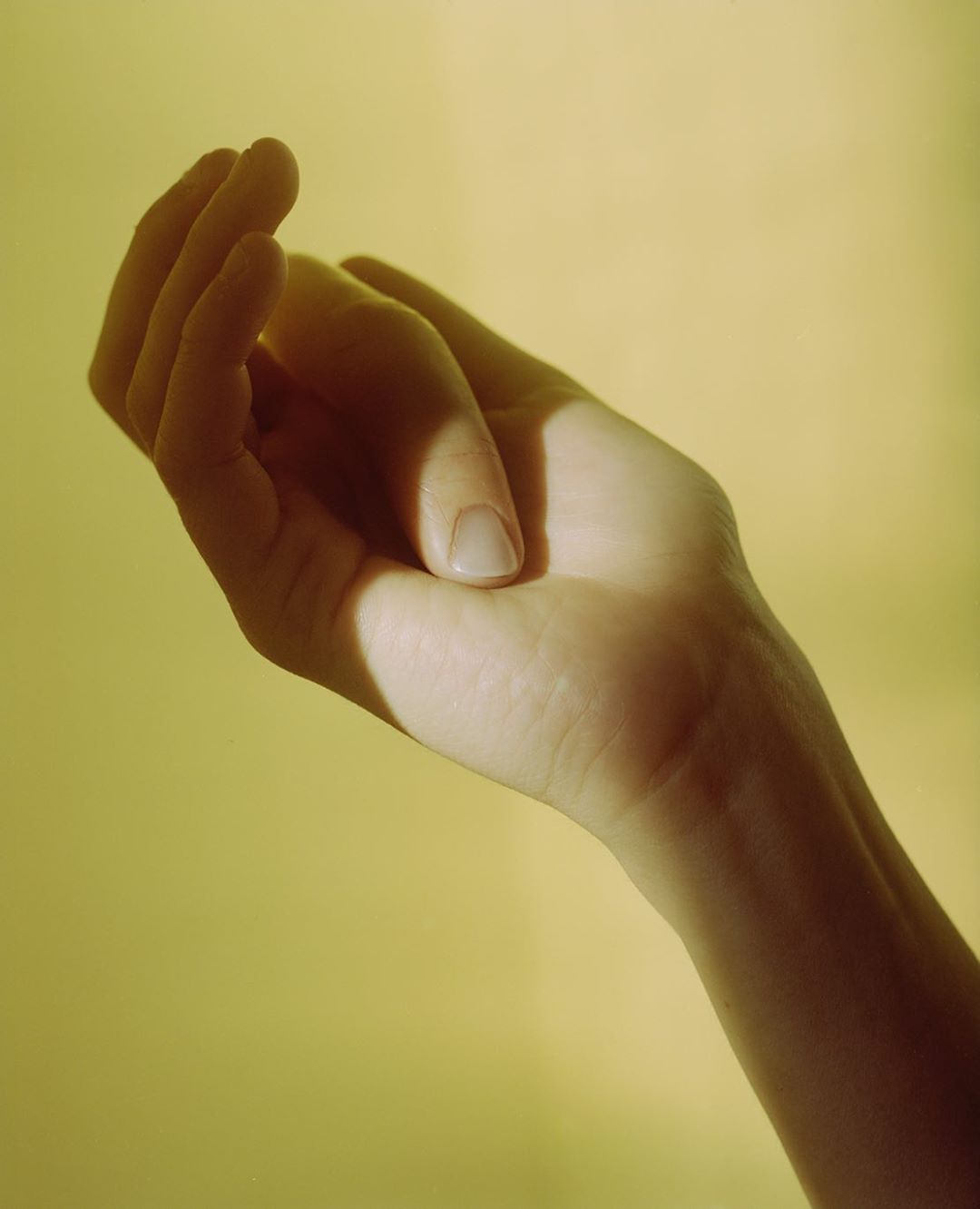 Selected works by András Ladocsi — A hand emerges against a yellow background, fingers slightly curled in a delicate, open gesture.