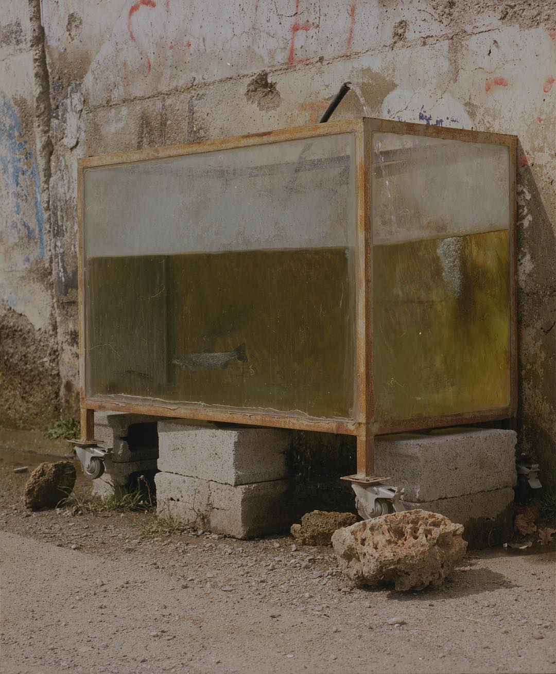 Selected works by András Ladocsi — A deteriorating wooden-framed glass display case mounted against a weathered concrete block wall marked with faded graffiti in red and blue.