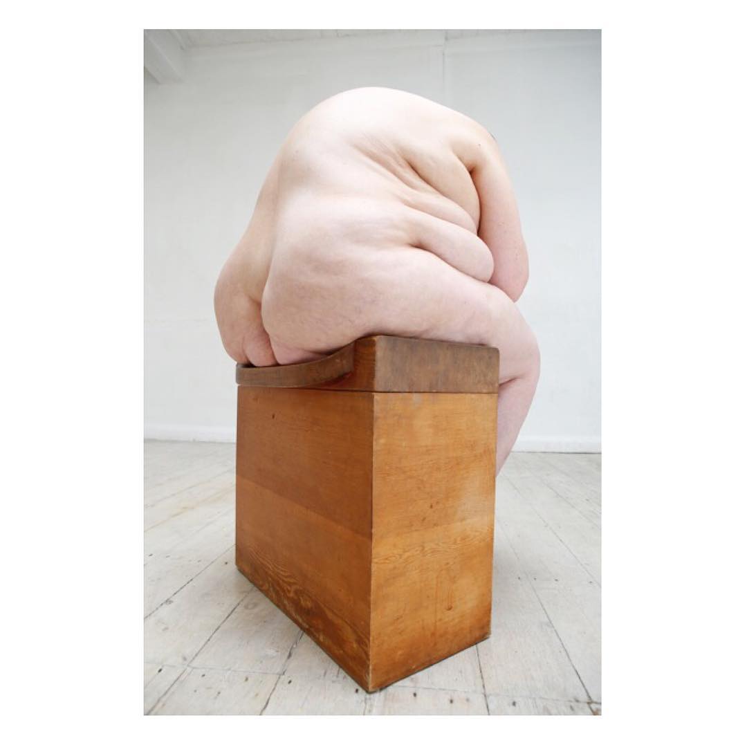Selected works by Polly Penrose — A sculptural work composed of a wooden block base in warm honey-toned timber supporting an abstract flesh-colored form.