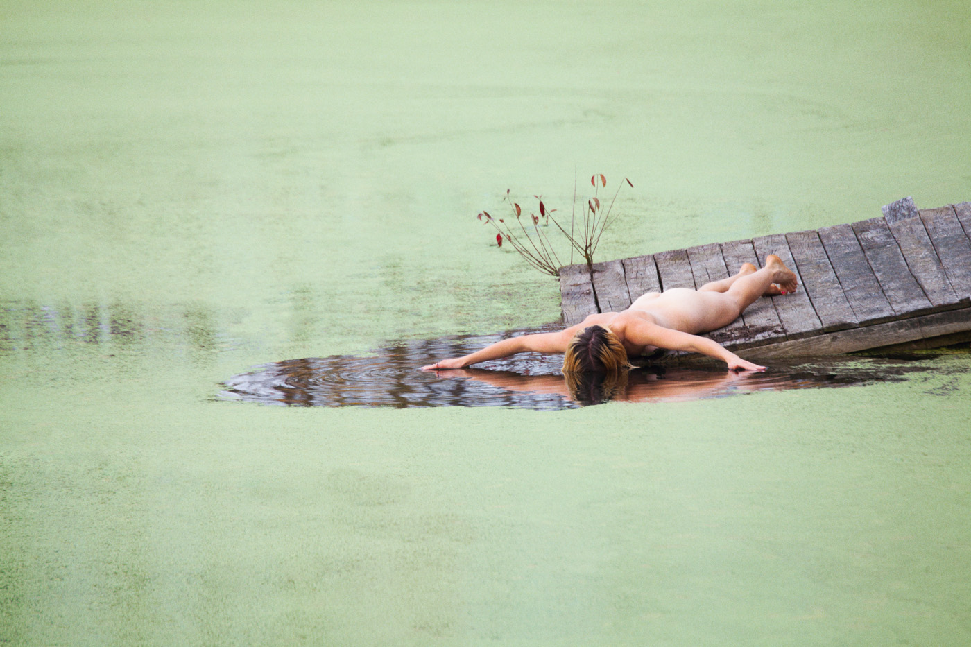 Paradiso by Ryan McGinley, landscape, portrait, naturalism