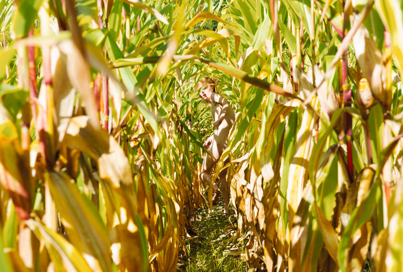 Paradiso by Ryan McGinley, landscape, portrait, naturalism