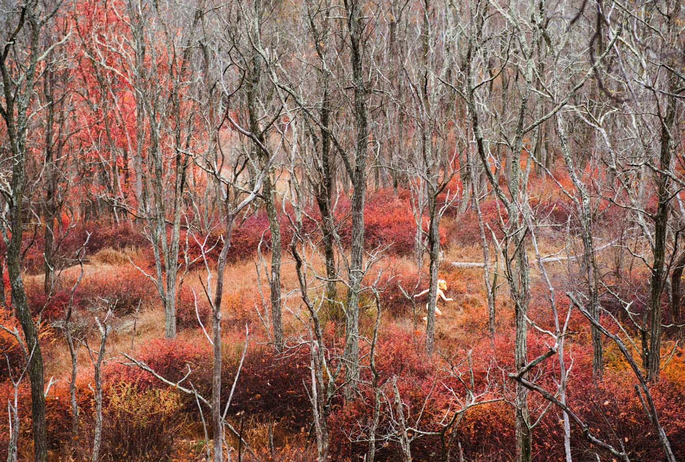 Paradiso by Ryan McGinley, landscape, portrait, naturalism