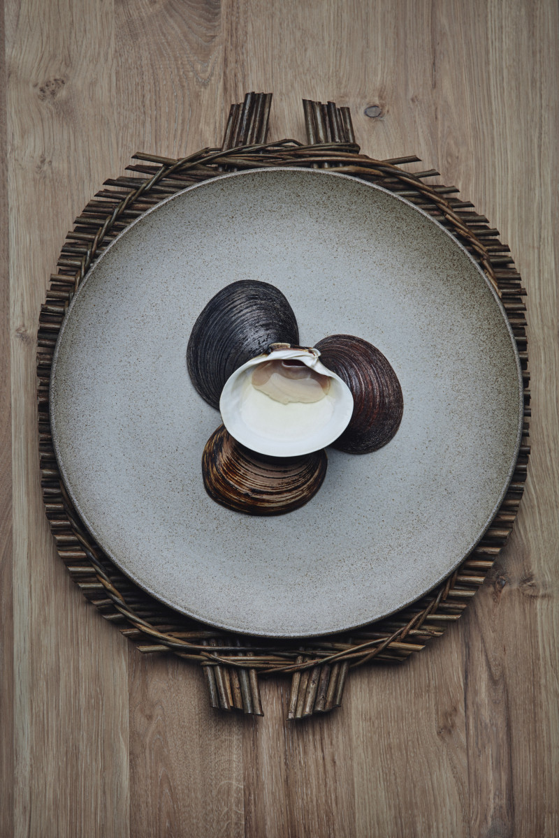 Under by Snøhetta, water, concrete, nature