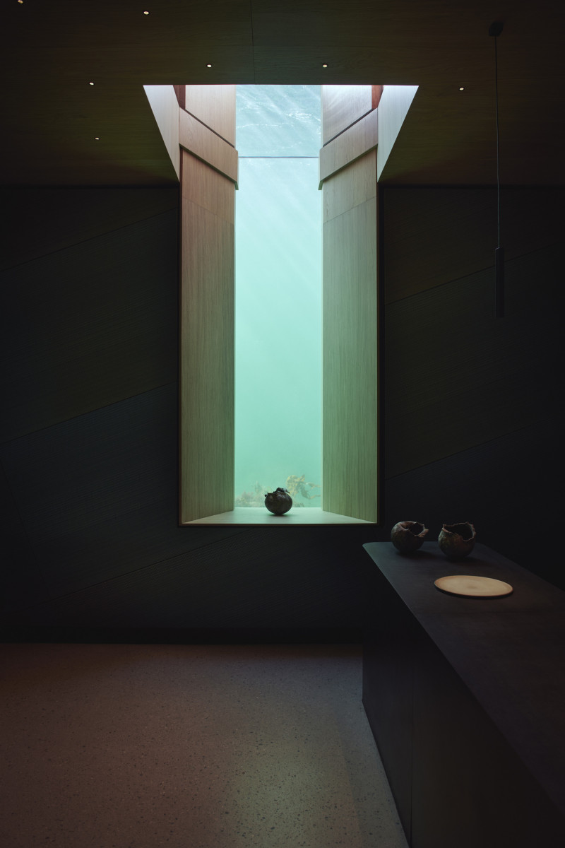 Under by Snøhetta, water, concrete, nature