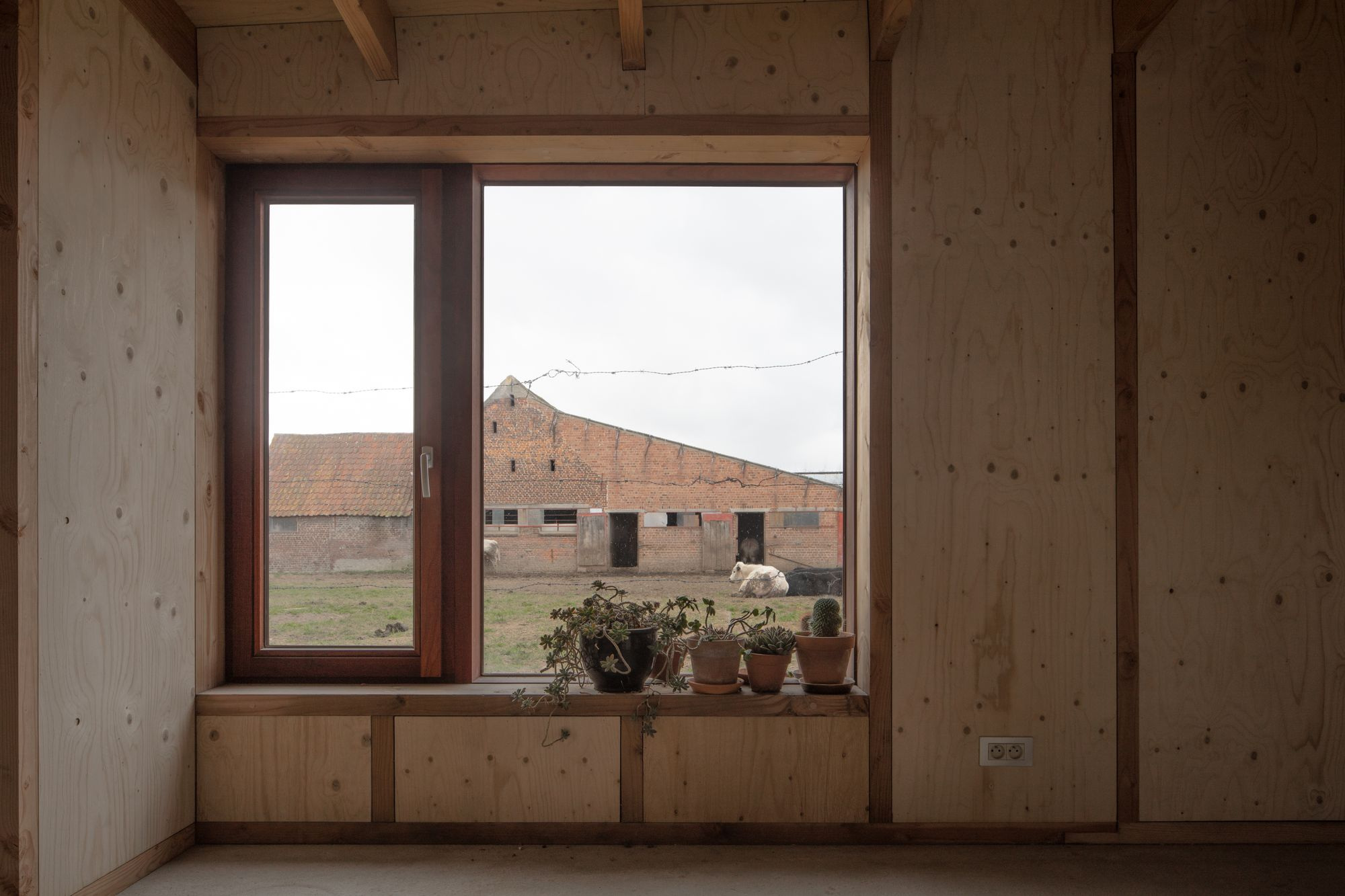 Studio SDS by GRAUX & BAEYENS — A double-glazed window frames the rural landscape beyond, its deep brown timber frame dividing the view into two panes.