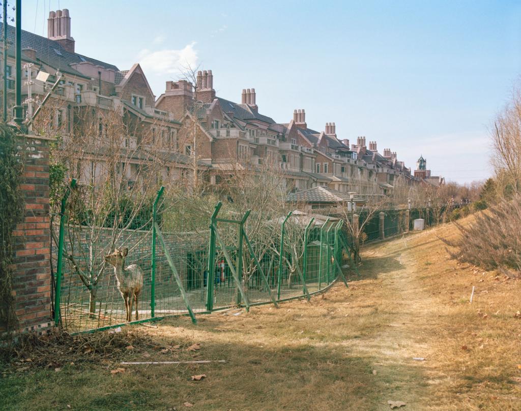 I am just a scenic spot by Pauilne Niks — A reconstructed fortification wall built from brick and stone with crenellated top sits in the foreground, fronted by green metal fencing enclosing newly...
