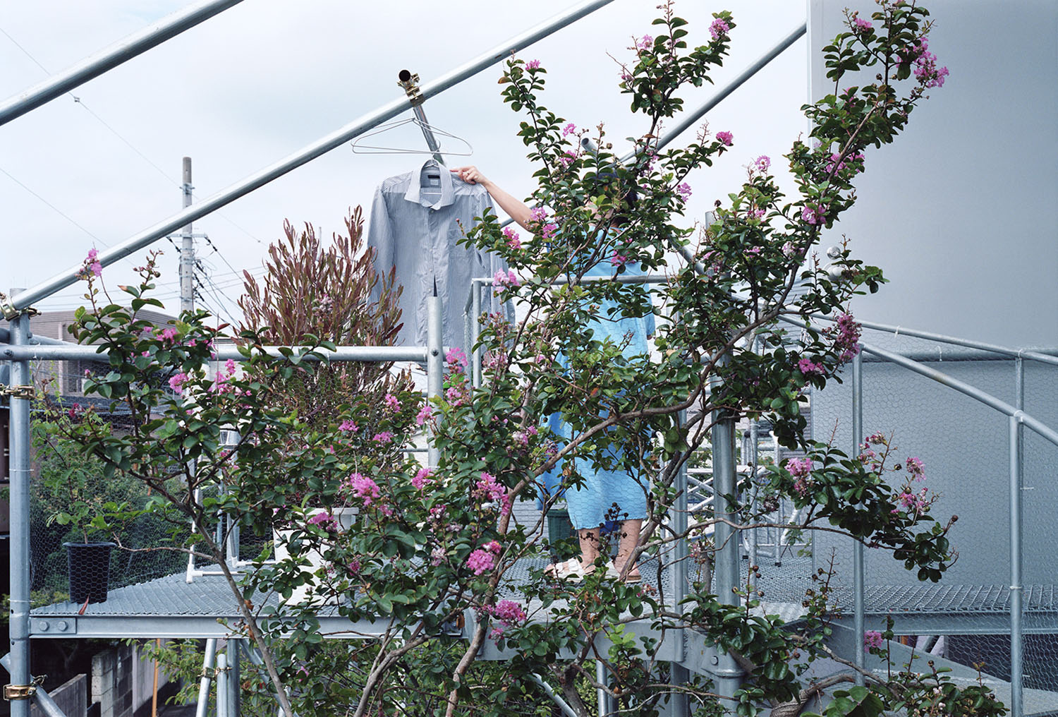 Daita2019 House by Suzuko Yamada Architects — A rooftop or elevated garden space within the Daita2019 House demonstrates the integration of vegetation and industrial structure.