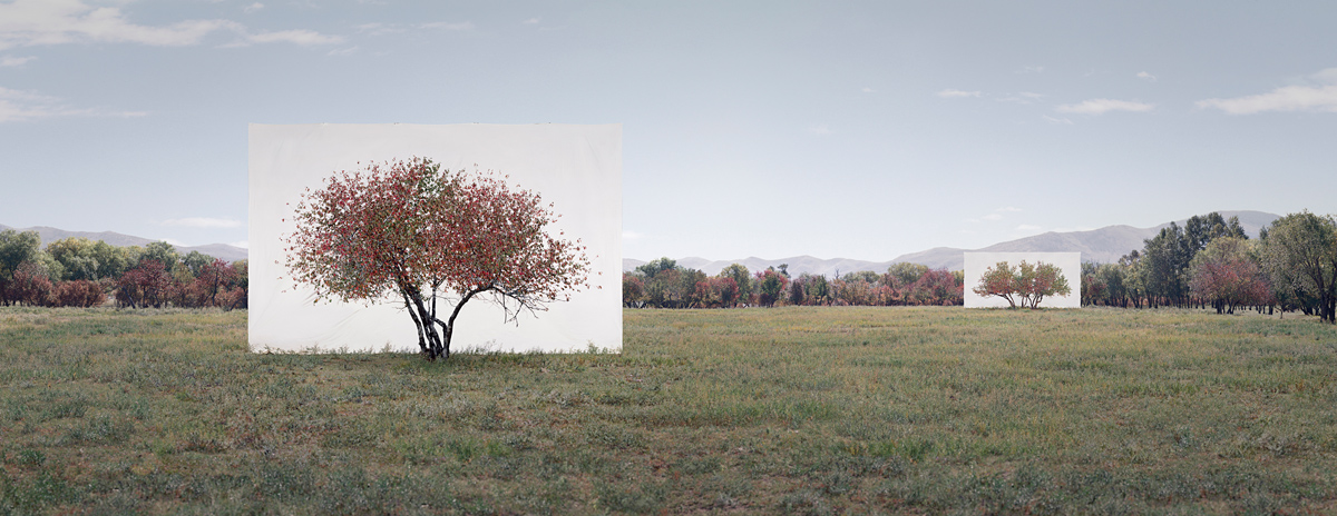 Tree by Myoung Ho Lee, nature, art, minimalism