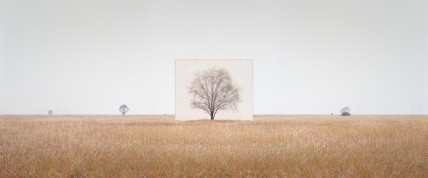 Tree by Myoung Ho Lee, nature, art, minimalism