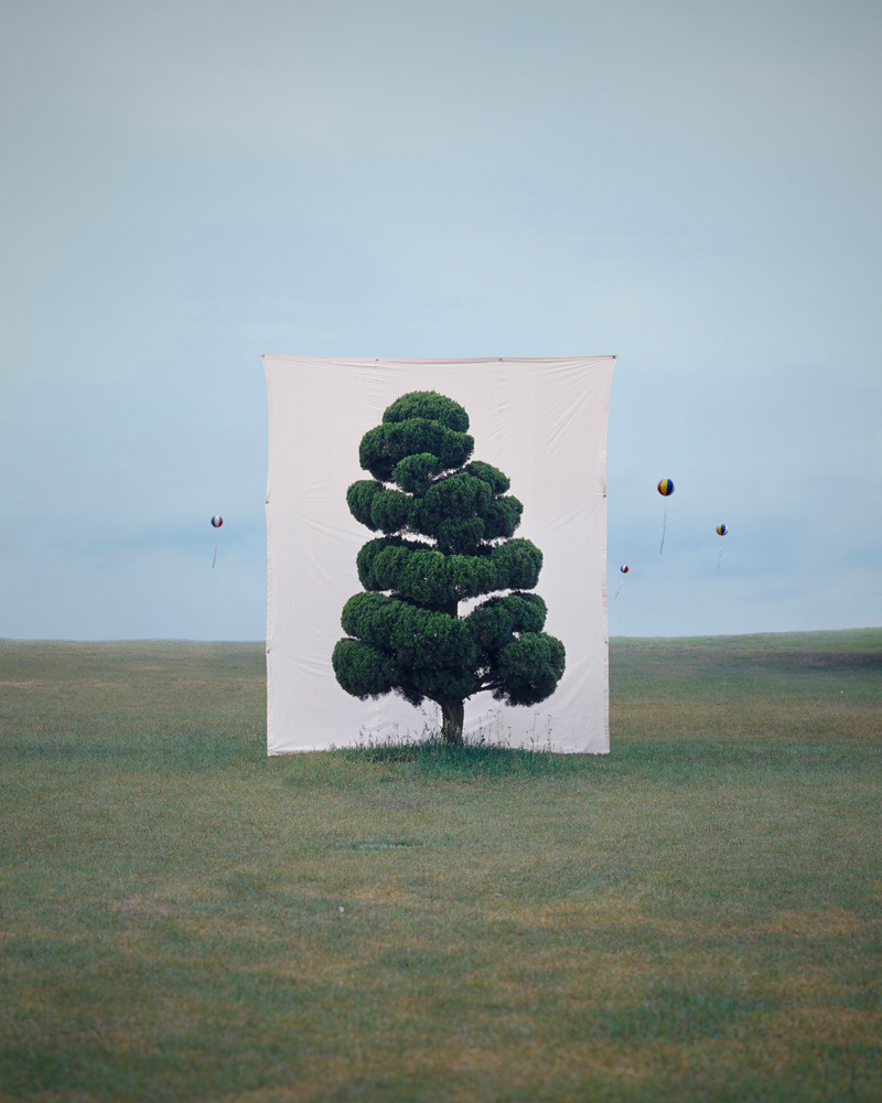 Tree by Myoung Ho Lee, nature, art, minimalism