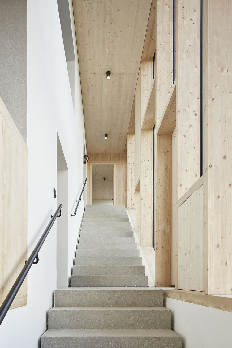 House Hohlen by Jochen Specht — A staircase rises through the interior of House Hohlen, its concrete treads anchoring the passage between timber-lined walls.
