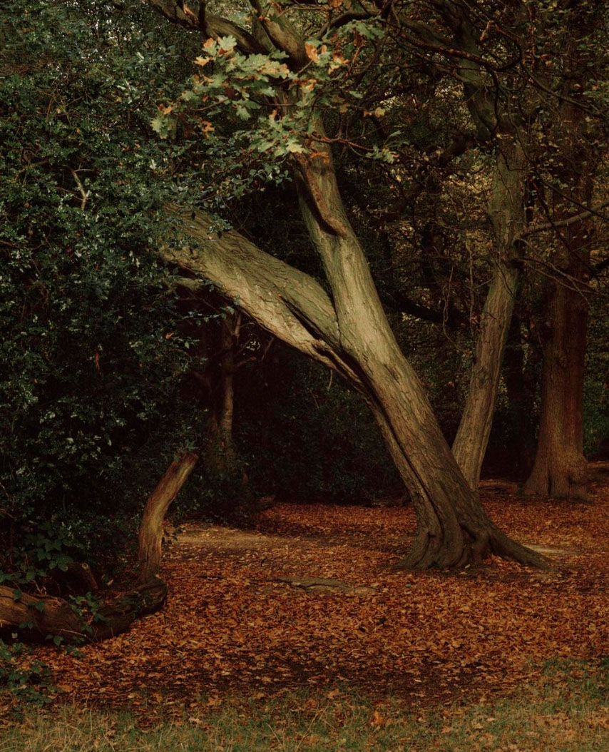 Selected works by Eva Vermandel, people, places, naturalism