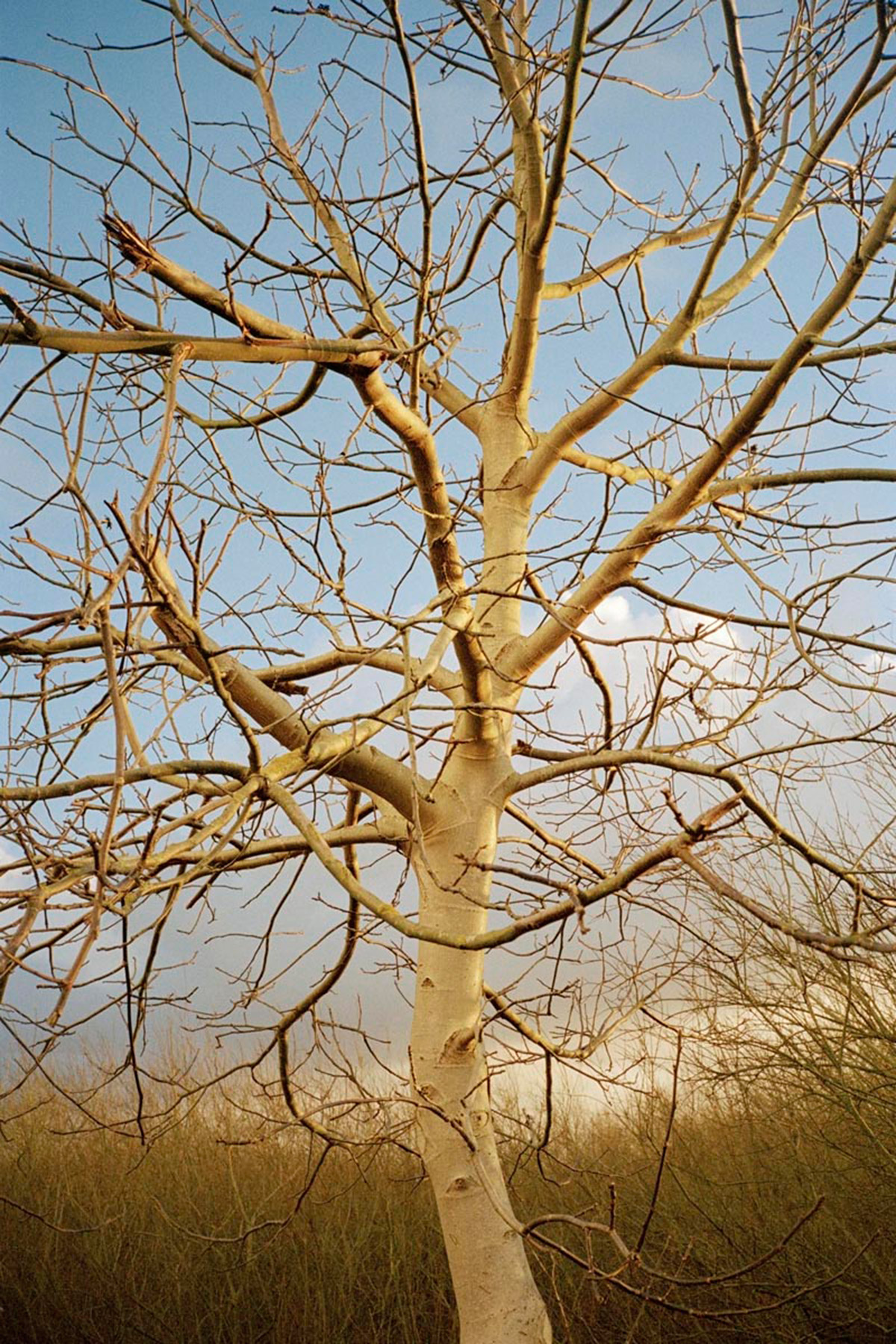 Selected works by Eva Vermandel, people, places, naturalism