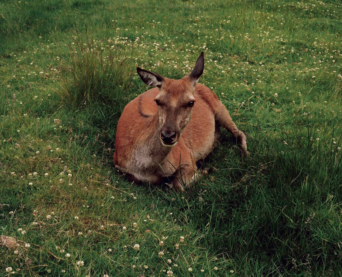 Selected works by Eva Vermandel, people, places, naturalism