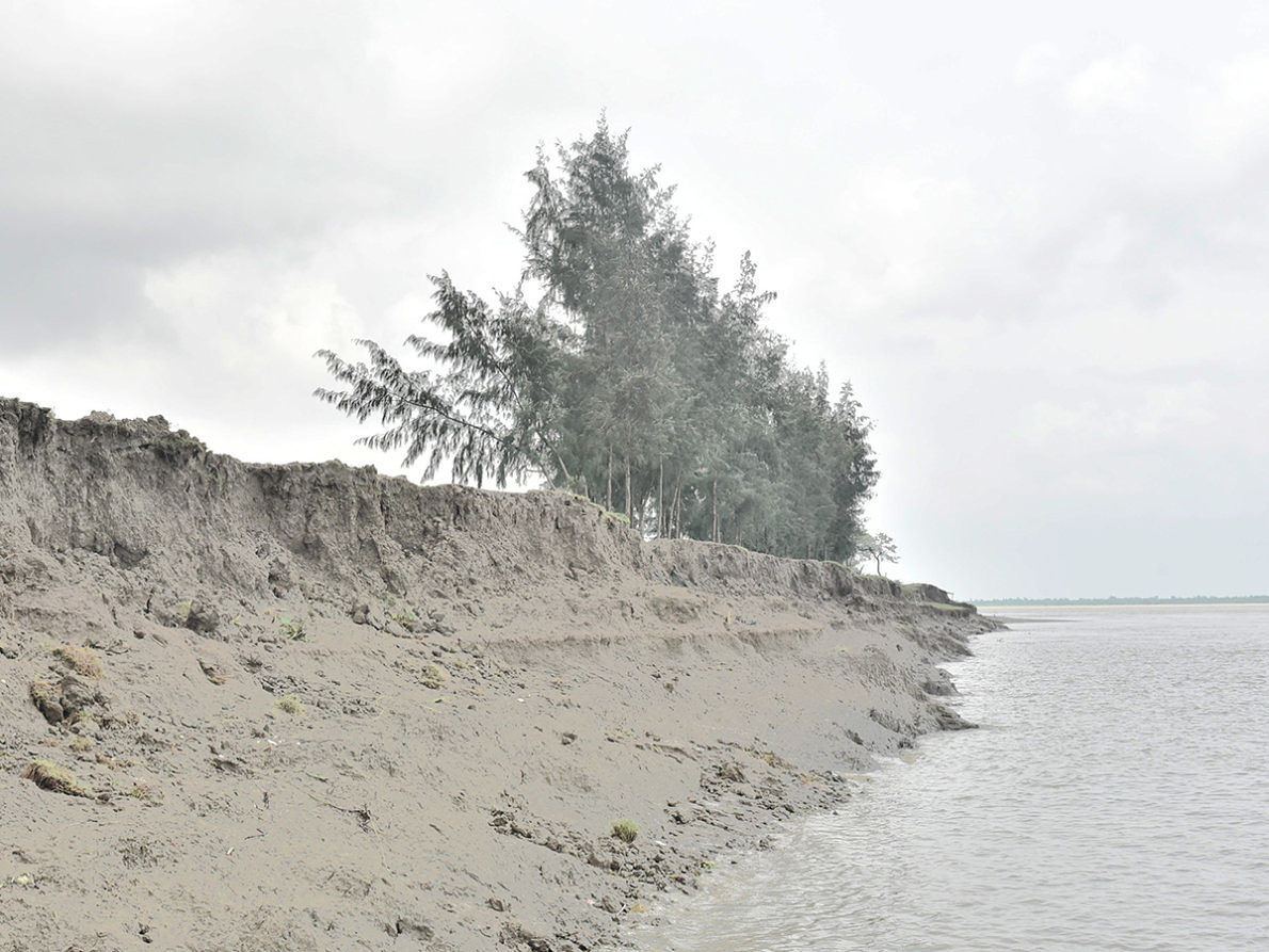 Ebbing away of Identity with the Tides by Sushavan Nandy — Eroded riverbank in the Sundarbans reveals geological stratification through exposed soil layers and subsoil composition.