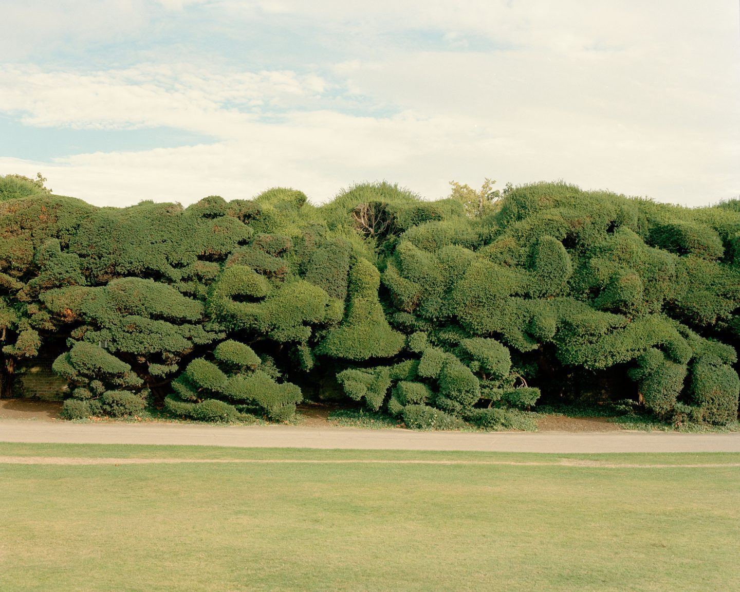 Selected works by Toby Coulson, people, places, nature
