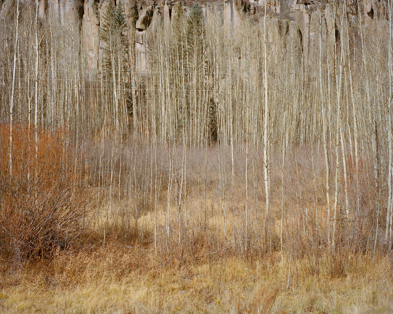 Selected works by Toby Coulson, people, places, nature