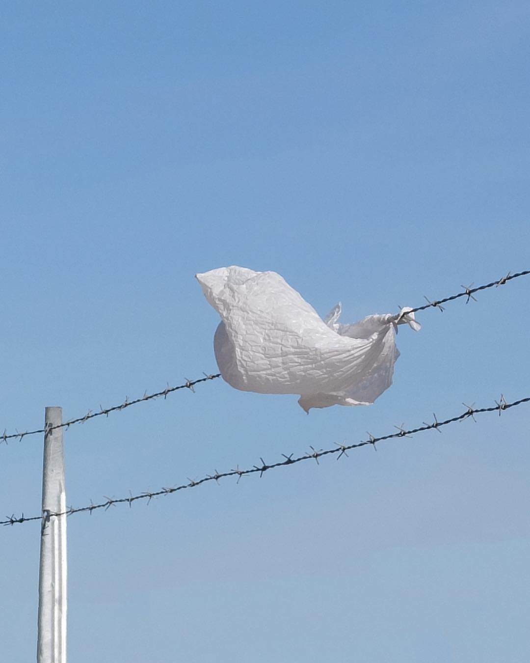 Selected works by Andy Smith, photography