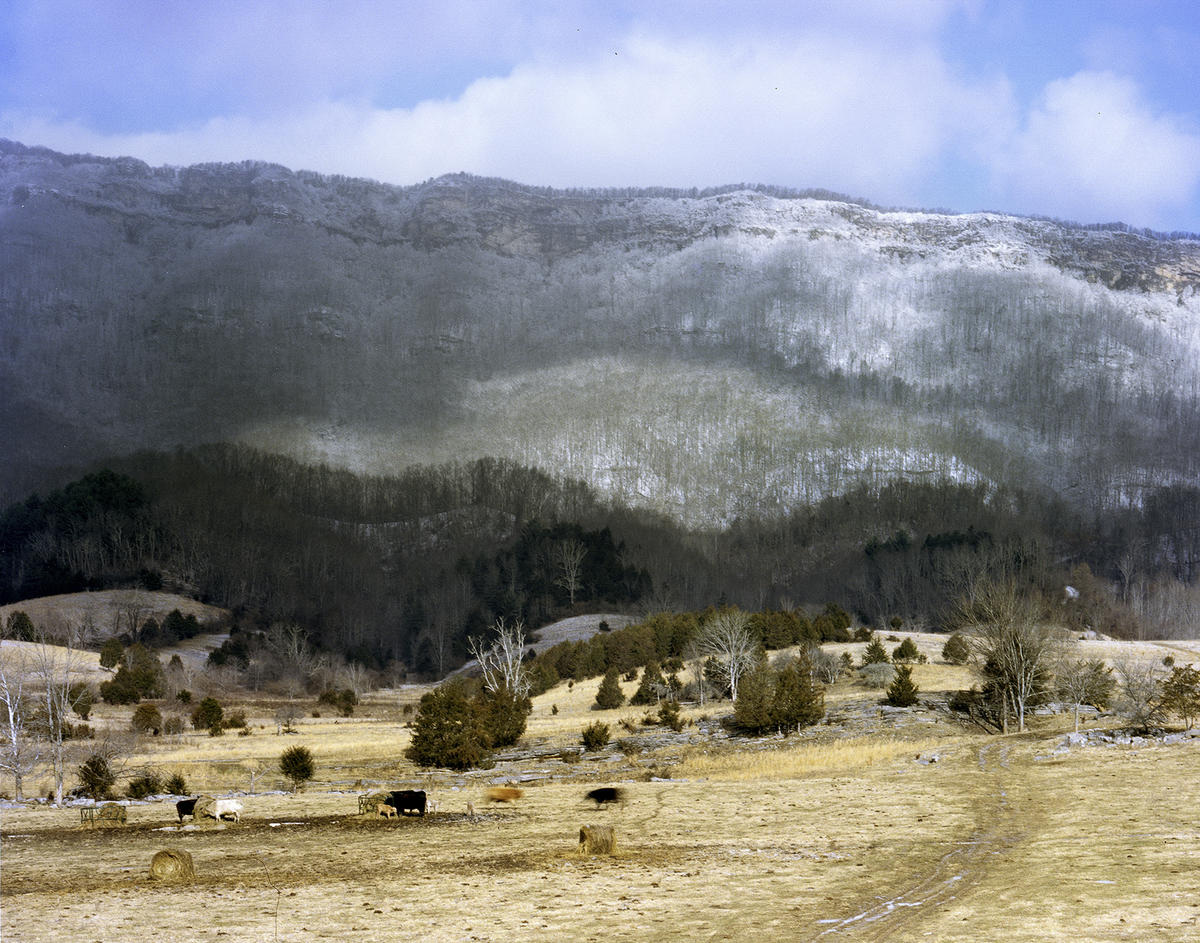 Silent Ballad by Rachel Boillot, photography, documentary, analog