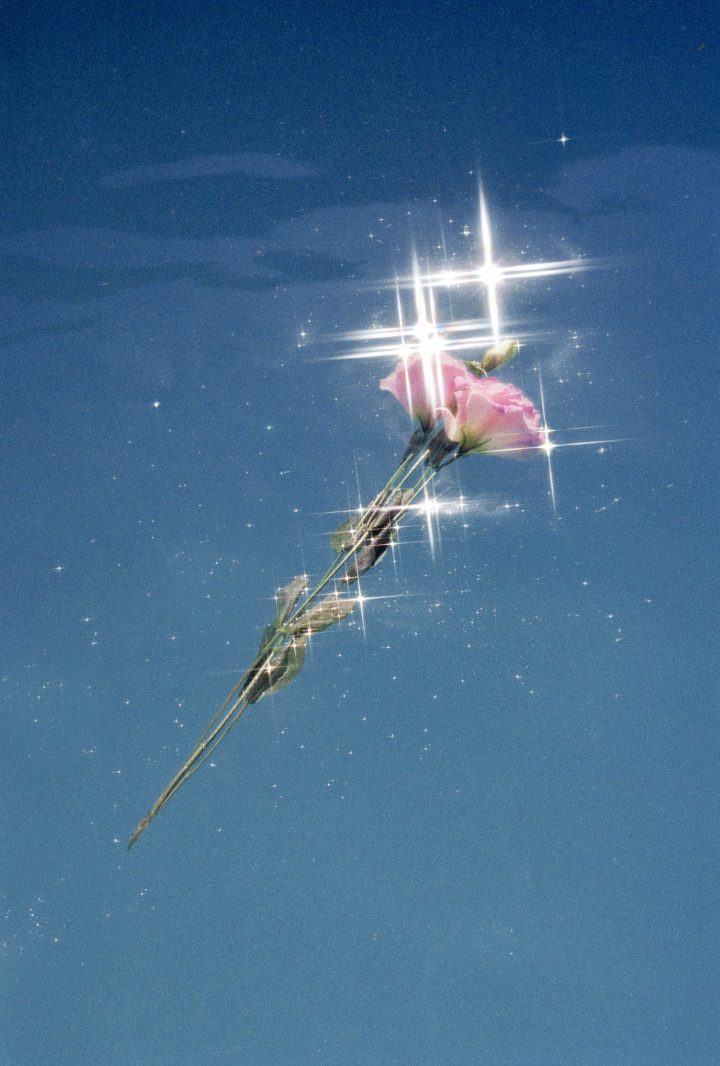 Selected works by Dimitri Guedes, photography, analog, naturalism