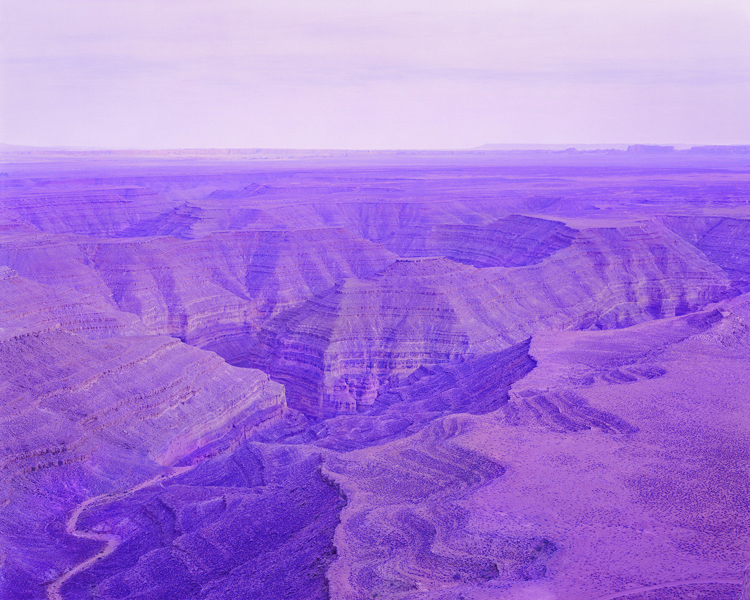 Selected works by David Benjamin Sherry, photography, art