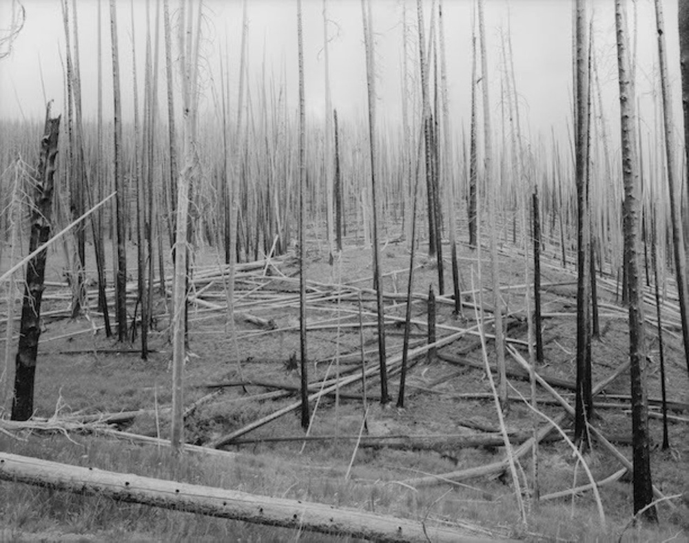 Selected works by David Benjamin Sherry, photography, art