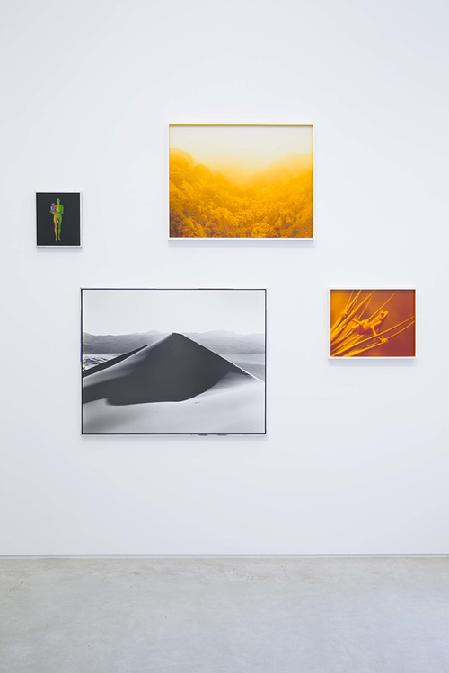 Selected works by David Benjamin Sherry, photography, art