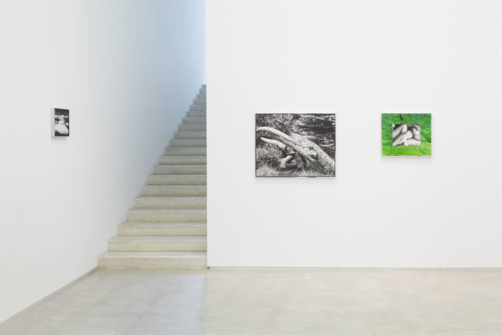 Selected works by David Benjamin Sherry, photography, art