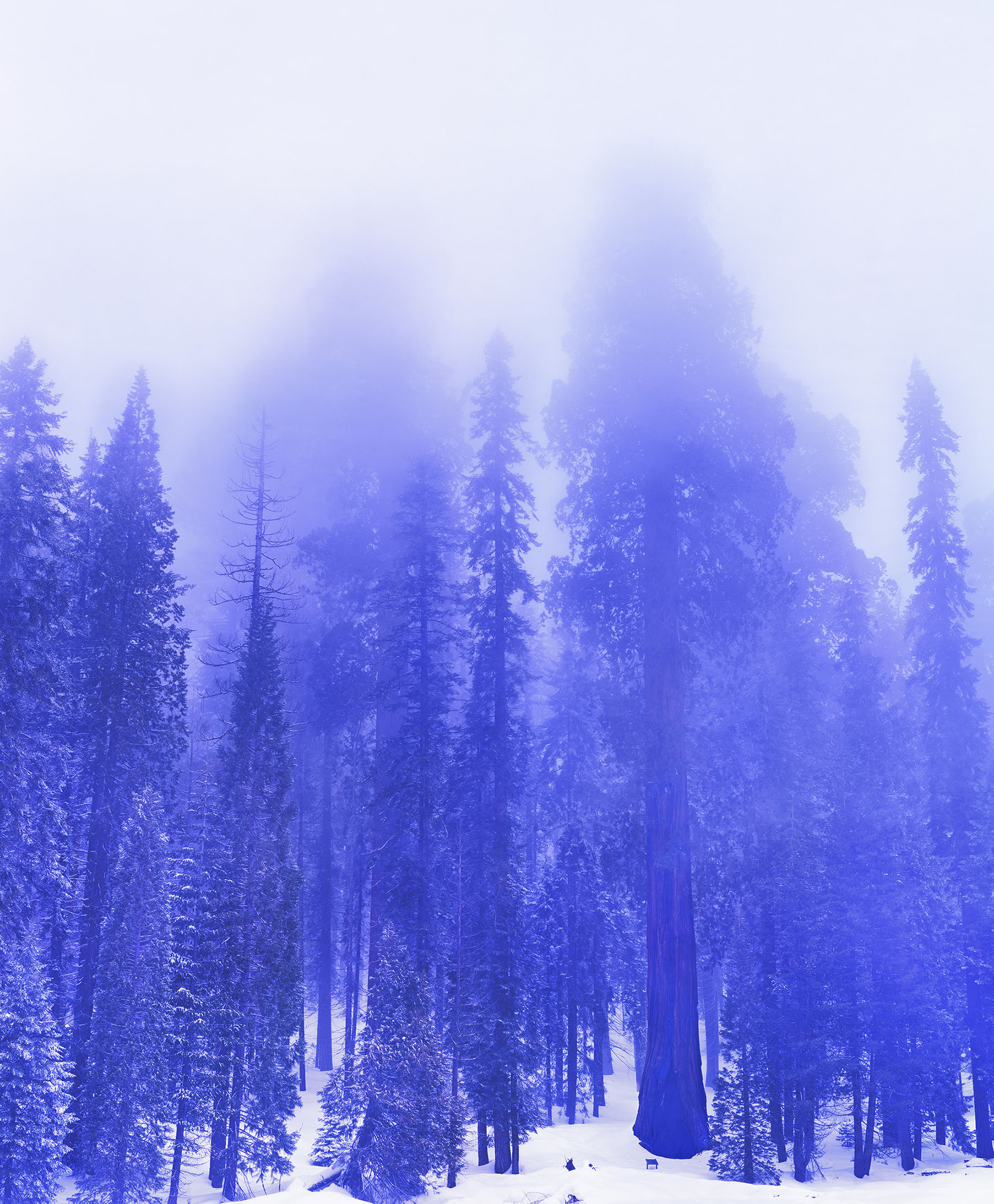 Selected works by David Benjamin Sherry, photography, art