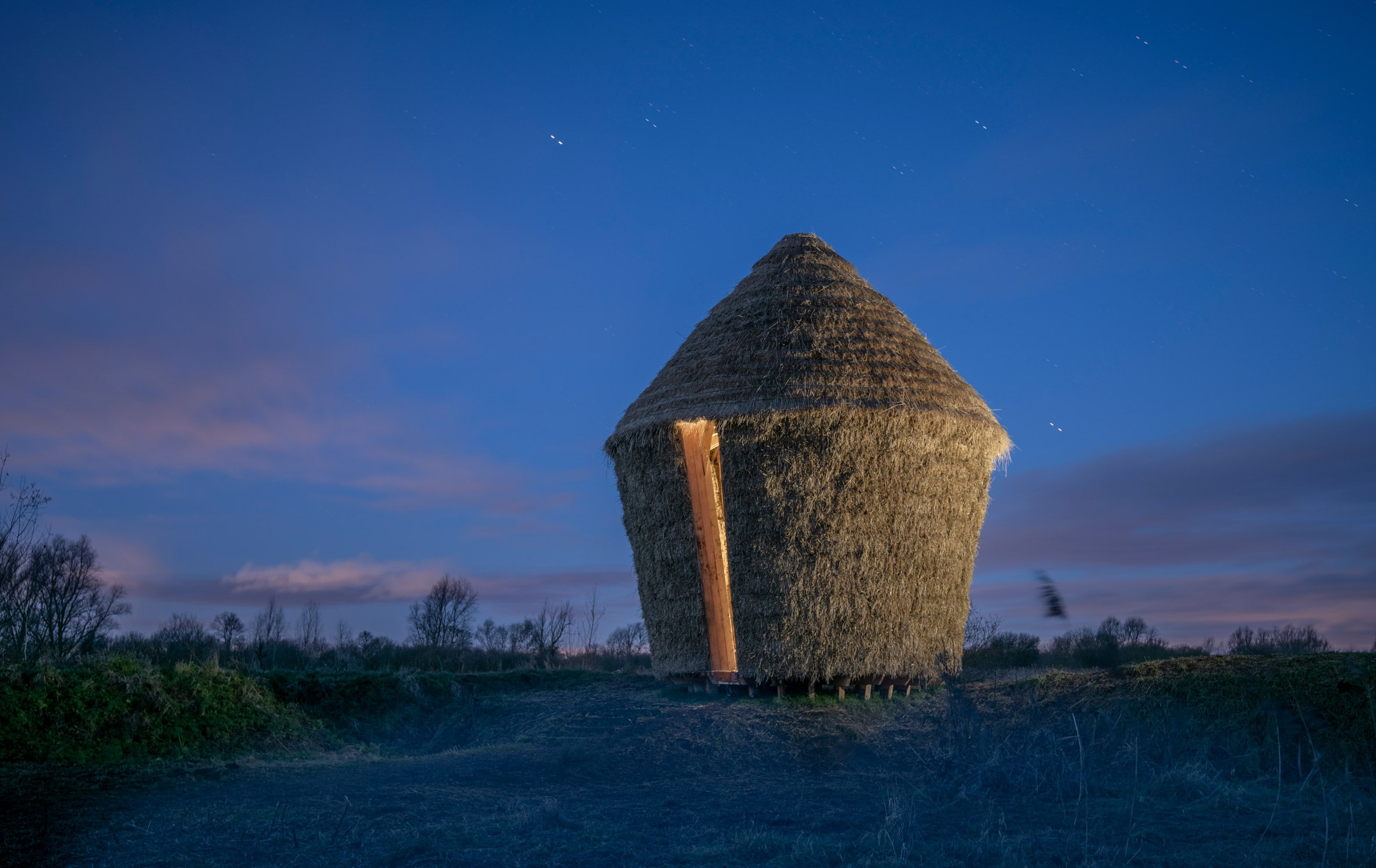 MOTHER by Studio Morison, architecture, nature, landscape, pavilion