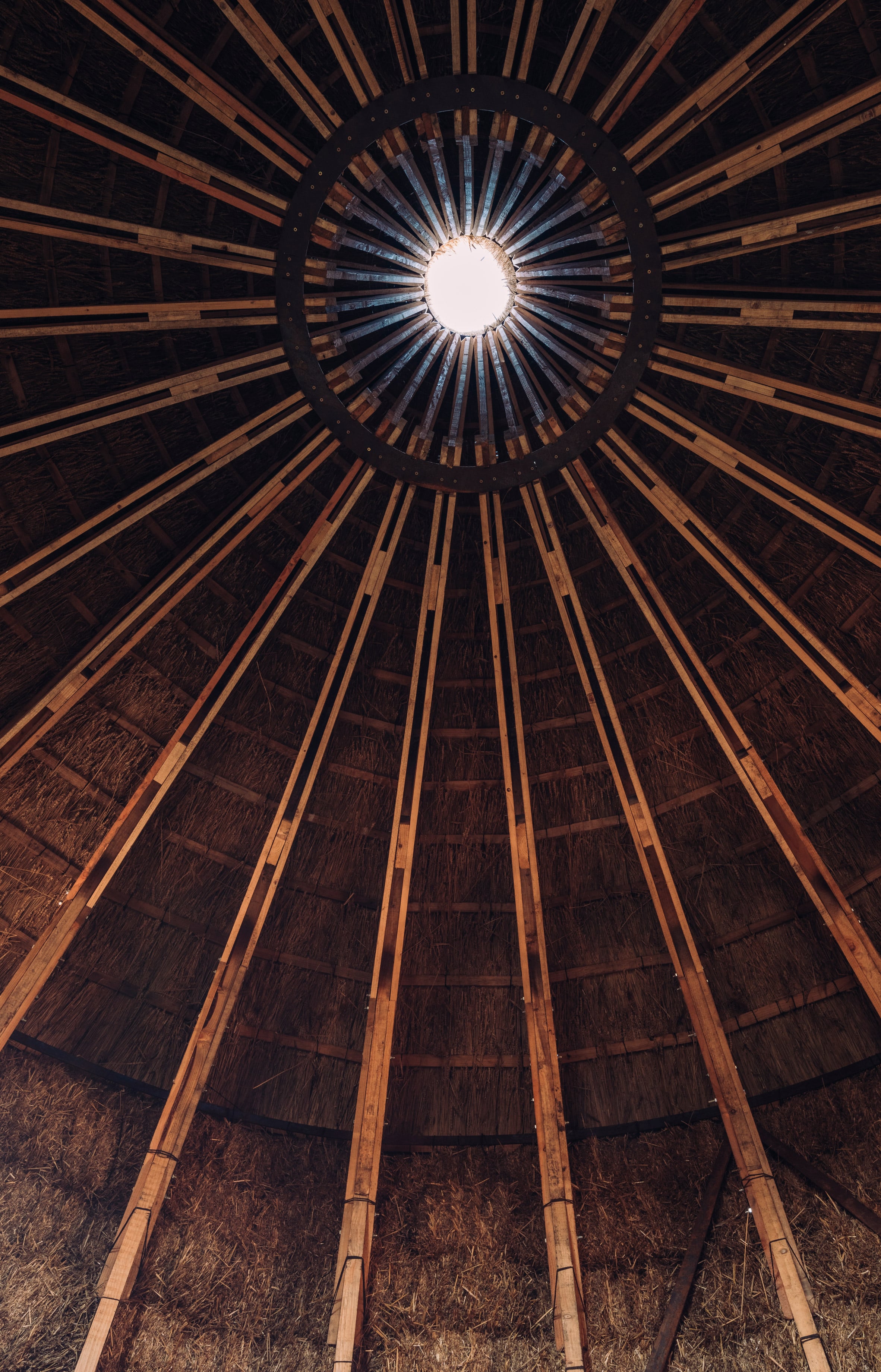 MOTHER by Studio Morison, architecture, nature, landscape, pavilion