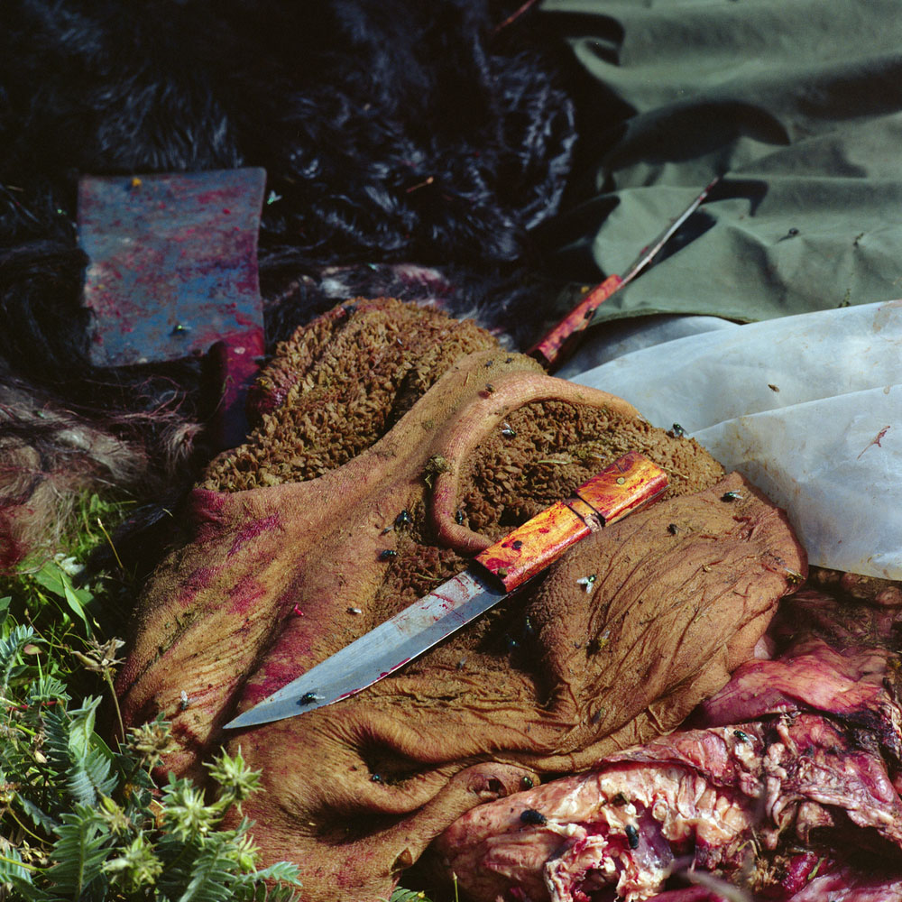 The Khampas by Rinchen Ato, photography, documentary, landscape