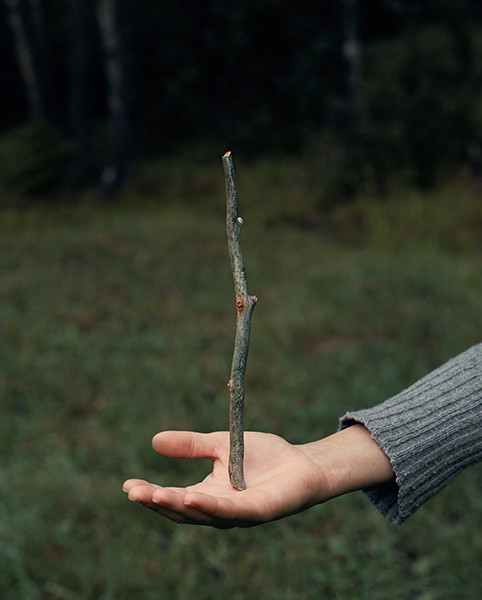 The Circle and the Line by Erik Östensson — A bare arm extends horizontally, palm upturned, holding a single thin branch with lichen-grey patina.