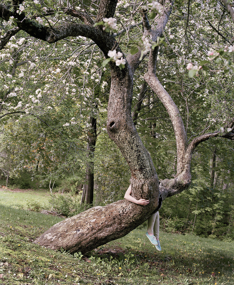 The Appearance of Things by Jocelyn Lee, naturalism, feminism, photography