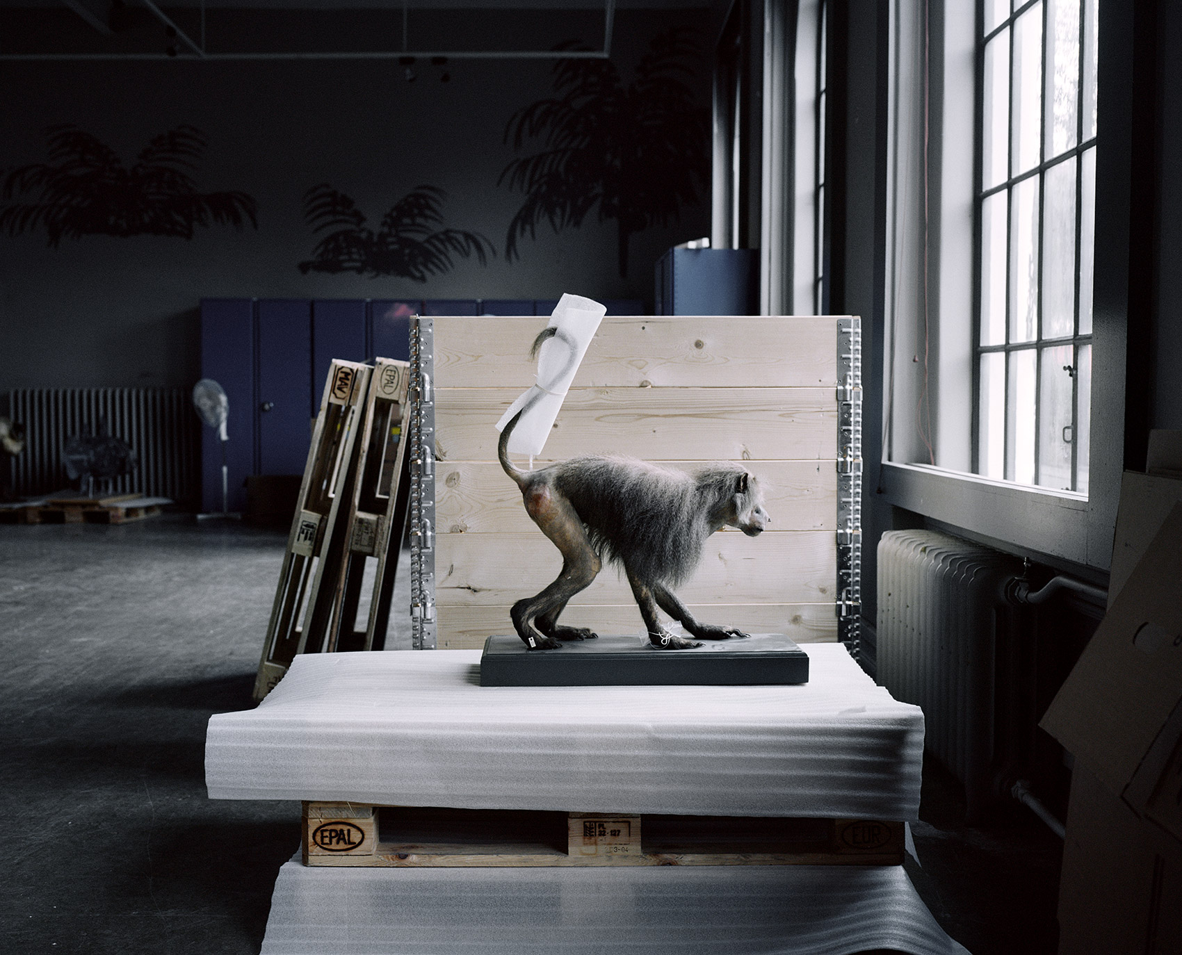 A Moveable Beast by Helge Skodvin — A taxidermied primate specimen is positioned in profile atop a white foam-padded pallet base, mounted against a horizontal wooden plank backing panel.