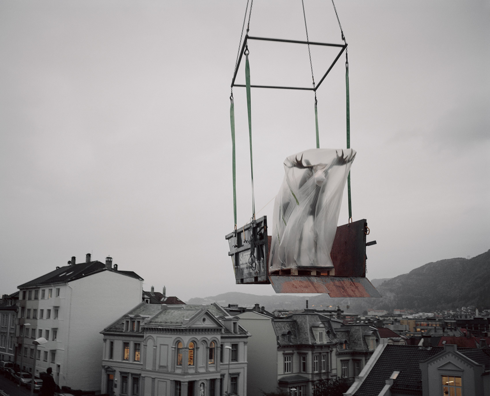 A Moveable Beast by Helge Skodvin — A taxidermied primate suspended from an industrial crane frame hovers above Bergen's residential roofscape in this documentary photograph.