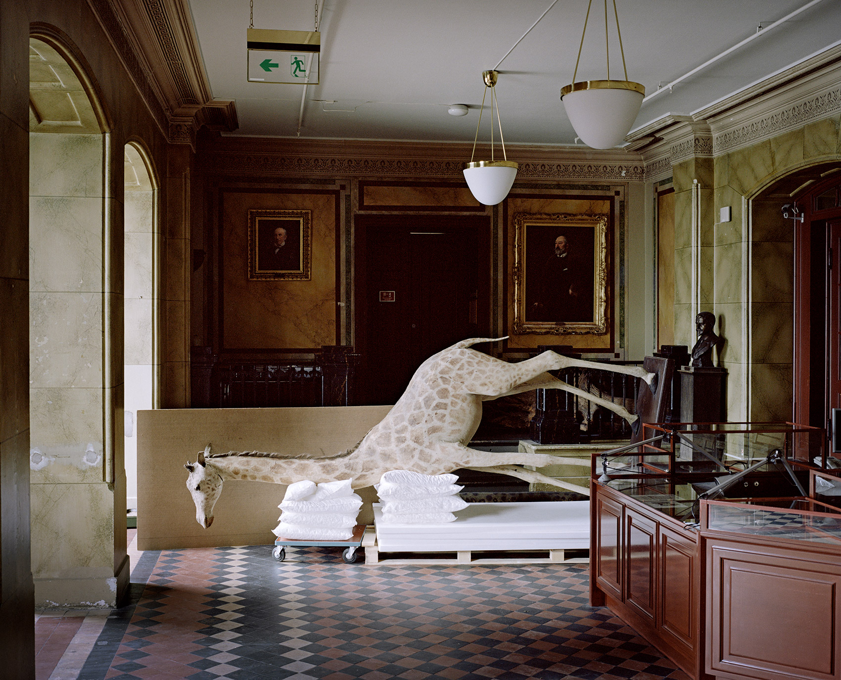 A Moveable Beast by Helge Skodvin — A taxidermied giraffe neck extends horizontally across a makeshift wooden platform constructed from white foam padding and industrial pallets, occupying the...