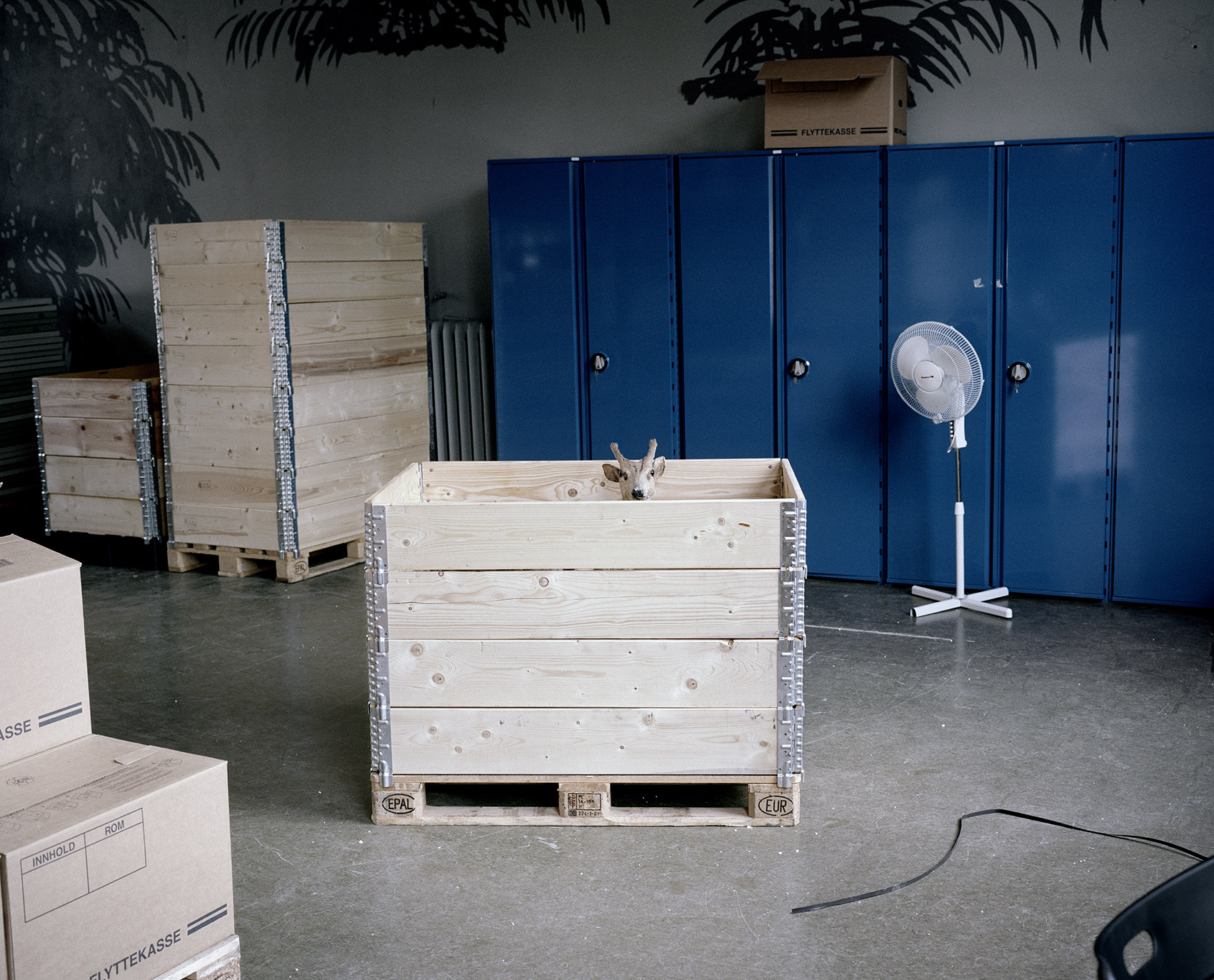 A Moveable Beast by Helge Skodvin — A taxidermied primate specimen rests in a wooden pallet-based crate within a university storage facility.