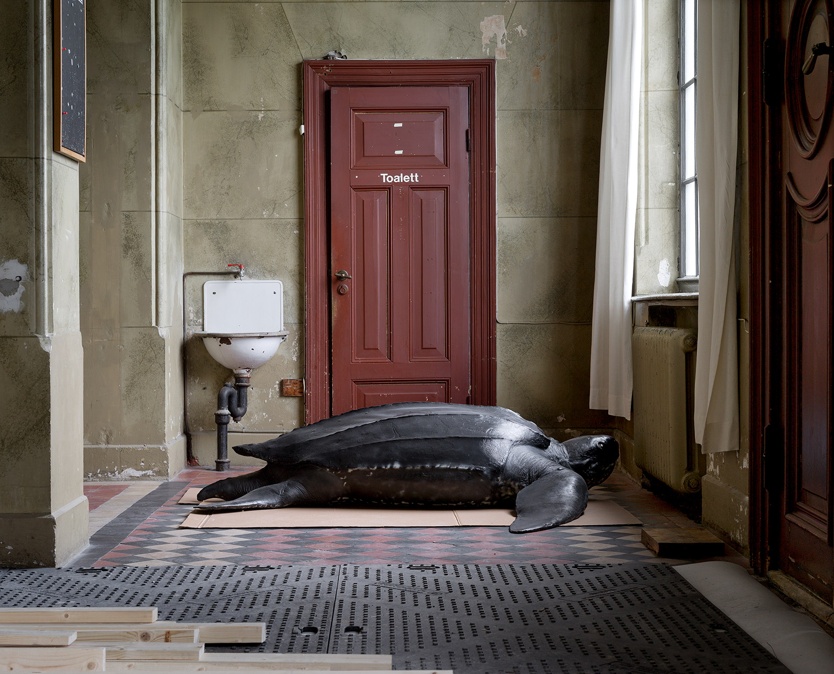 A Moveable Beast by Helge Skodvin — A taxidermied sea turtle lies prone across a wooden pallet and white foam base positioned centrally in a institutional corridor.