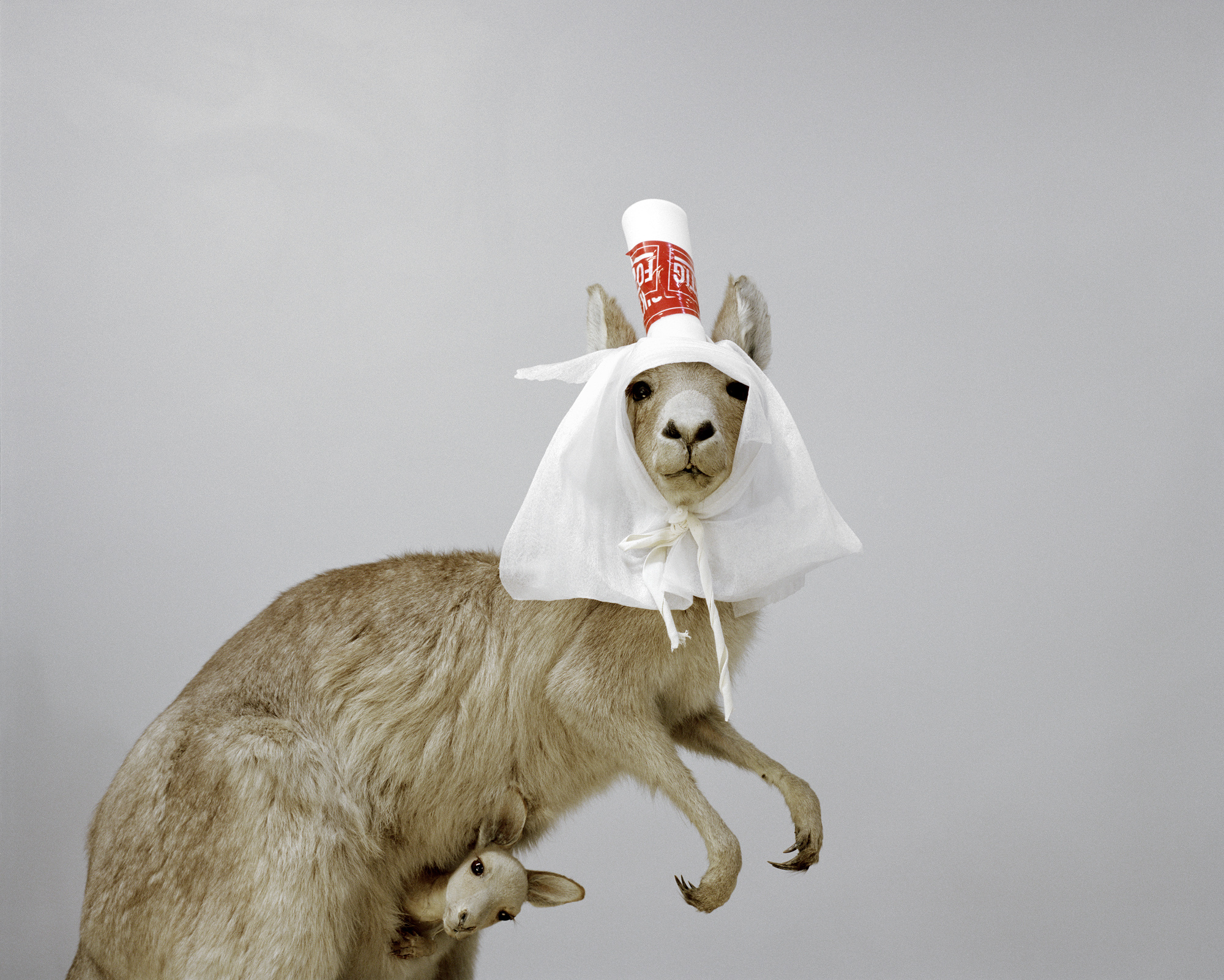A Moveable Beast by Helge Skodvin — A taxidermied goat wears an oversized white nurse's cap with red medical cross insignia and a white fabric head covering tied beneath its chin.